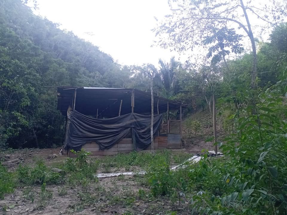 Chacra en Juan Guerra, San Martín — foto 6