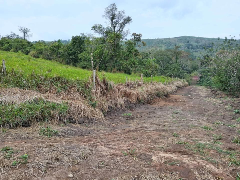 Terreno en La Banda de Shilcayo, San MartΓn β foto 2