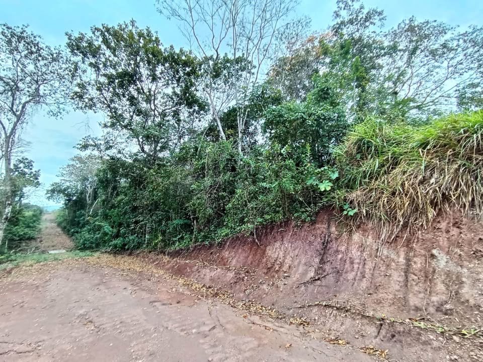 Terreno en La Banda de Shilcayo, San MartΓn β foto 4