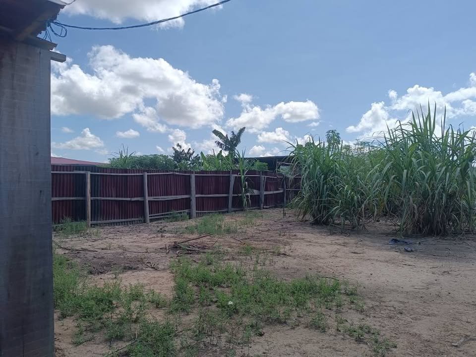 Lote en Callería, Ucayali — foto 5