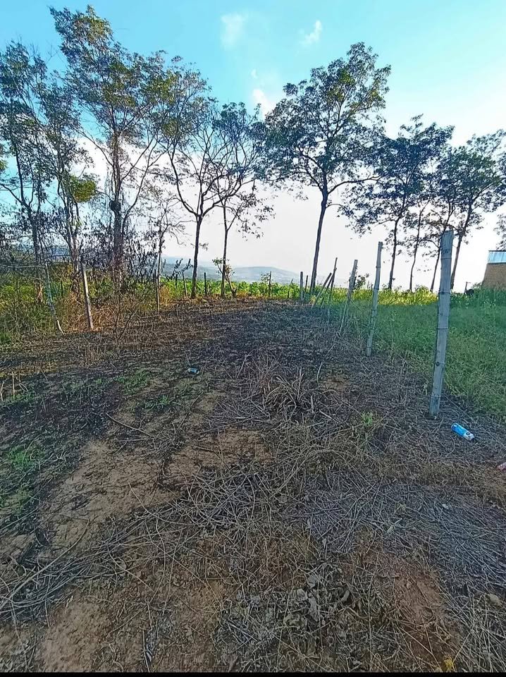 Terreno en Tarapoto, San Martín — foto 3