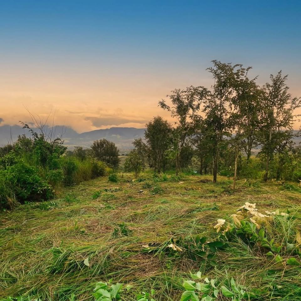 Lote en La Banda de Shilcayo, San Martín — foto 5