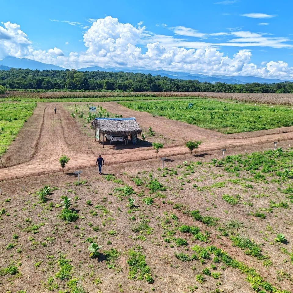 Lote en Tarapoto, San Martín — foto 5
