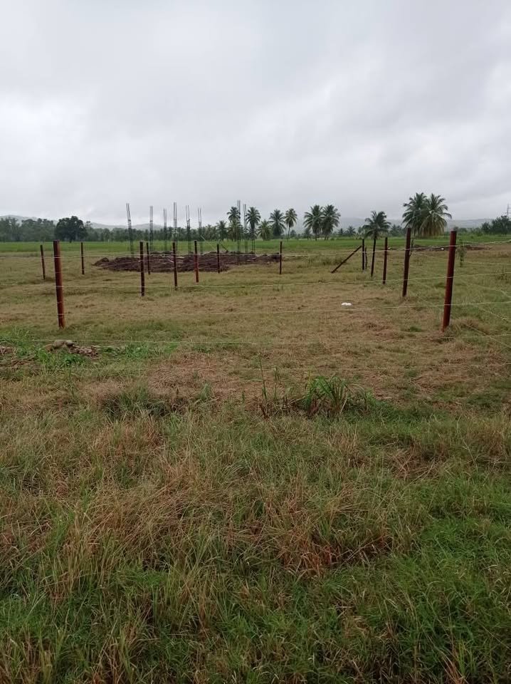 Lote en Cacatachi, San Martín — foto 5